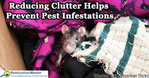 Pests easily find hiding places in clutter.