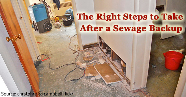 Learn what to do after a sewage backup.