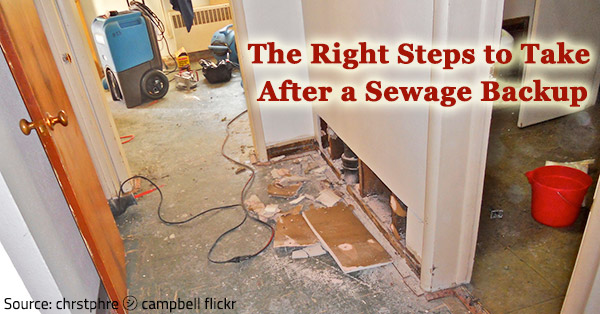 What to Do if Sewage Starts Coming Up Through Your Bathtub