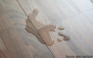 Laminate Floor, How To Fix Ripped Laminate Flooring
