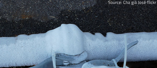Frozen water pipes are usually bulging and cold to the touch.