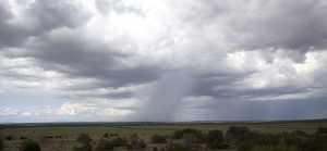 New_Mexico_Monsoon_Rain