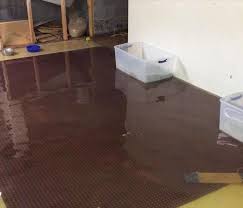 flooded basement - Flood damage