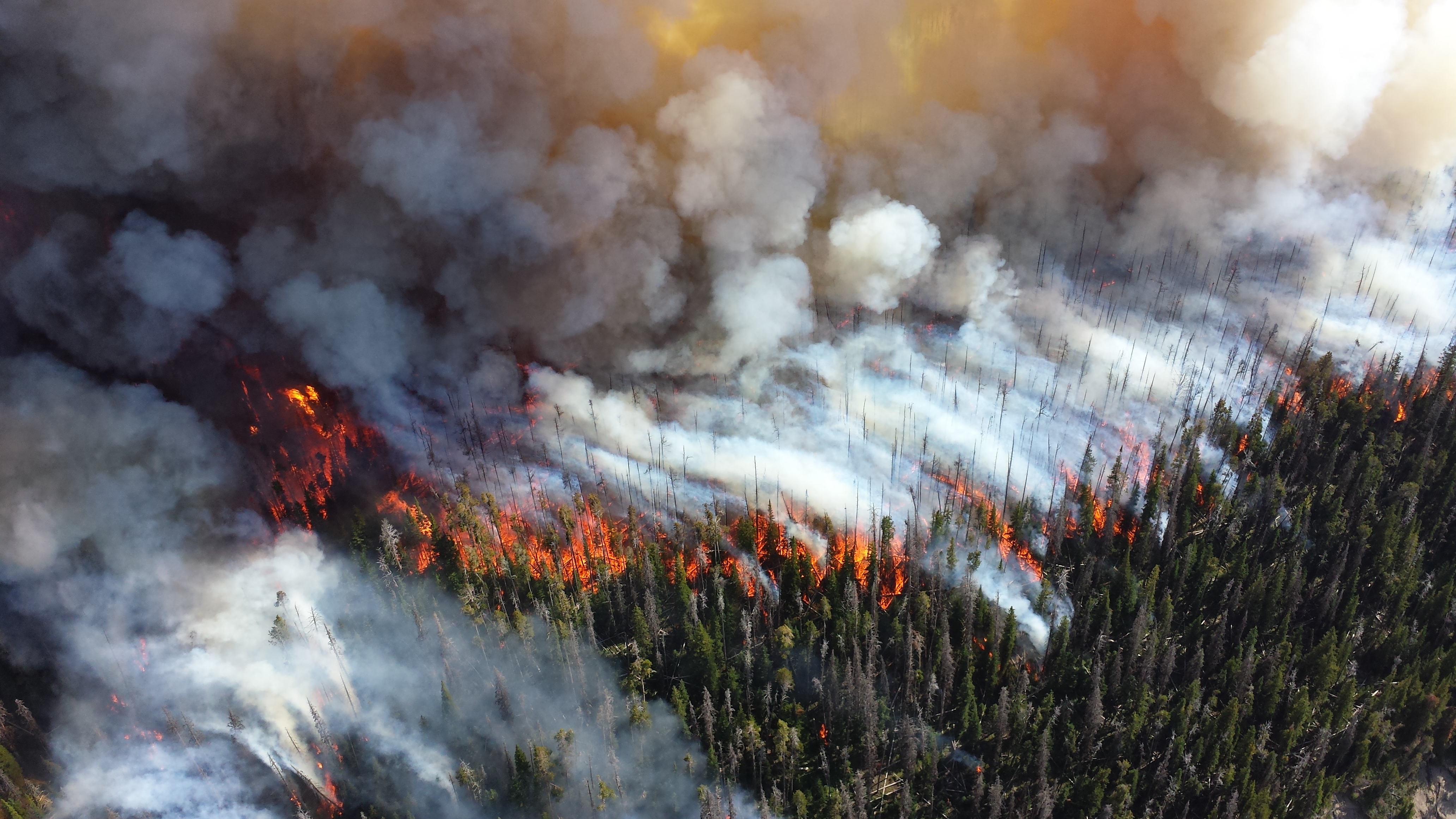 Health Effects Caused By Wildfires Protecting Yourself From Smoke