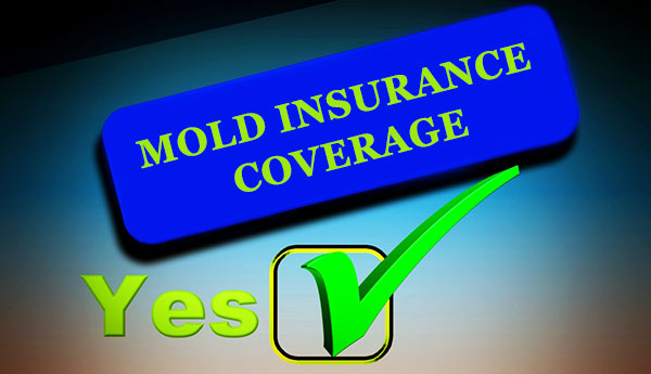 Is Mold Damage Covered By Homeowner s Insurance 