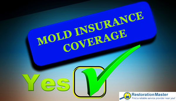 Does insurance cover mold removal?