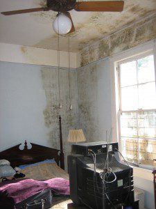 Black mold in a house