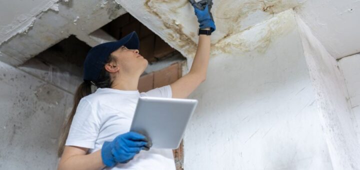 water damage insurance agent inspecting water damage