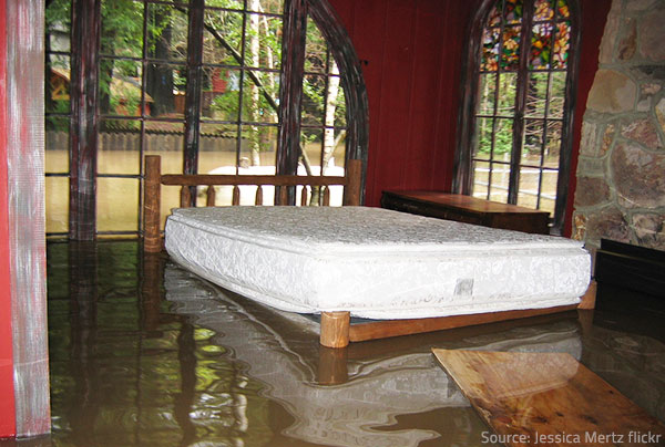 Do you know what to do in the unfortunate event of water damage to your property.