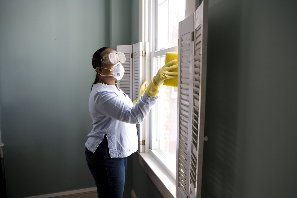 Cleaning mold in the window