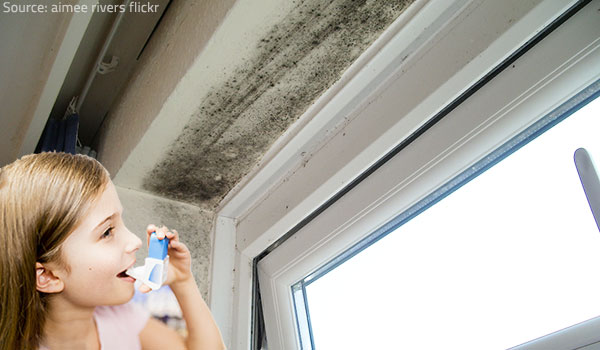 The health effects of mold can be very serious.