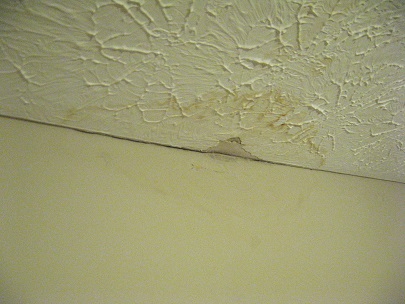 Hidden Mold: How to Detect and Prevent
