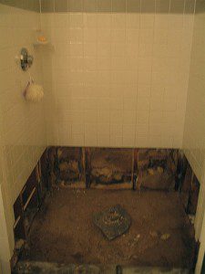 Mold in Shower