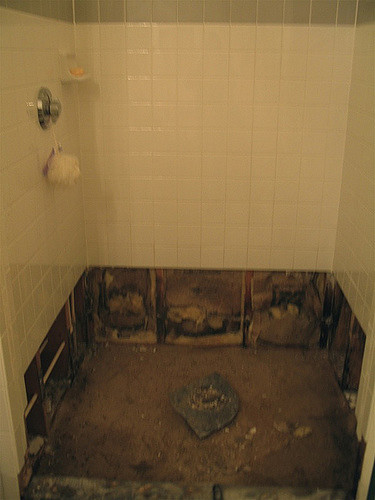 Finding Black Mold In Your Shower What To Do Restorationmaster - How To Test For Mold Behind Shower Wall