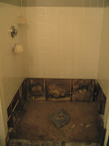 How to Clean and Prevent Black Mold Growth in Your Bathroom