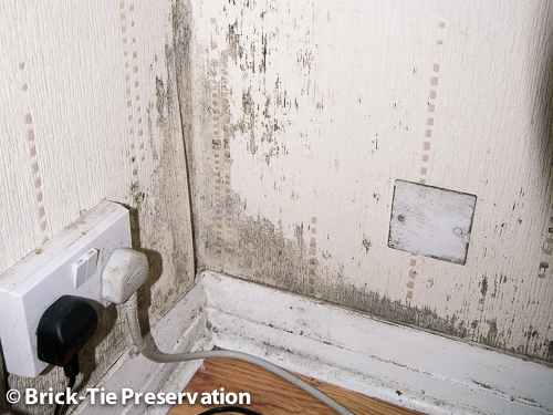 The Dangers Of Living With Mold In The House