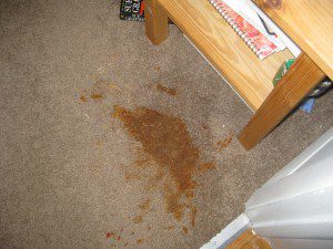 Carpet Stain