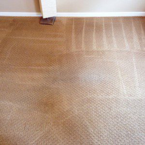 carpet-cleaning-services-after