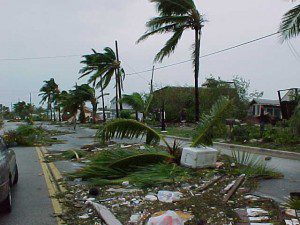 hurricane damage Florida