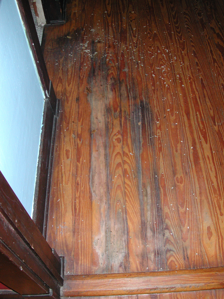 Water Damaged Wood Floors From Refrigerator Water Line Leak - The