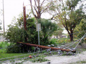 downed power line