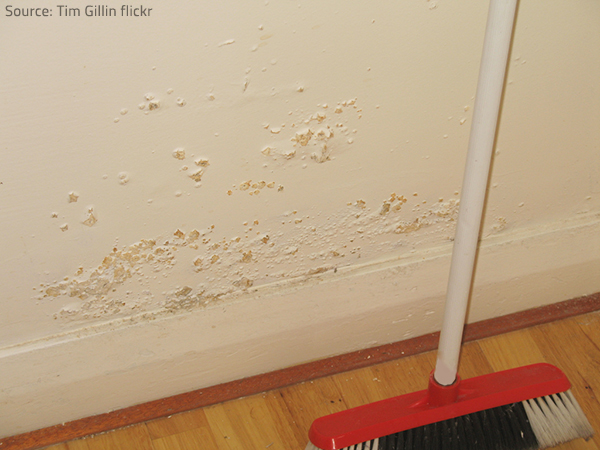 It's important to recognize the first signs of mold in your home.