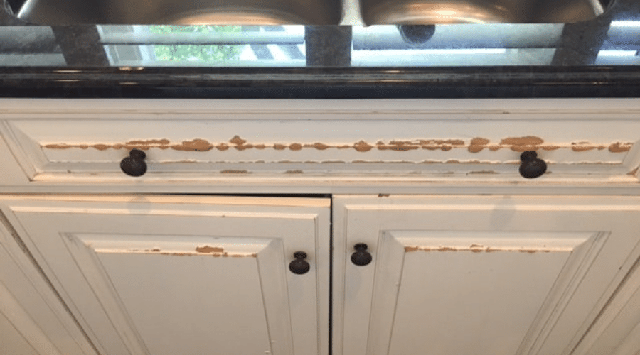 Wet Cabinets in a Flooded Kitchen