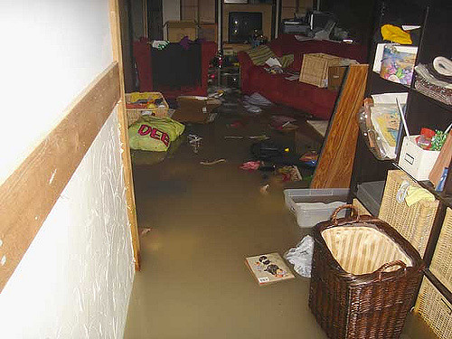 Sewage Backup In The Basement, How To Clean Sewage Flood In Basement