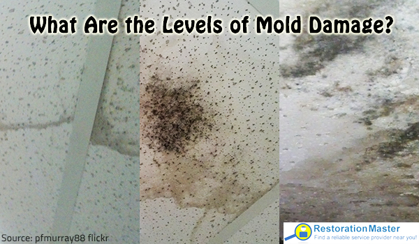 The difference between mold levels in house.