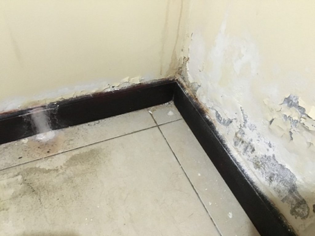 Signs of a Water Leak Behind the Walls   Detect Hidden ...