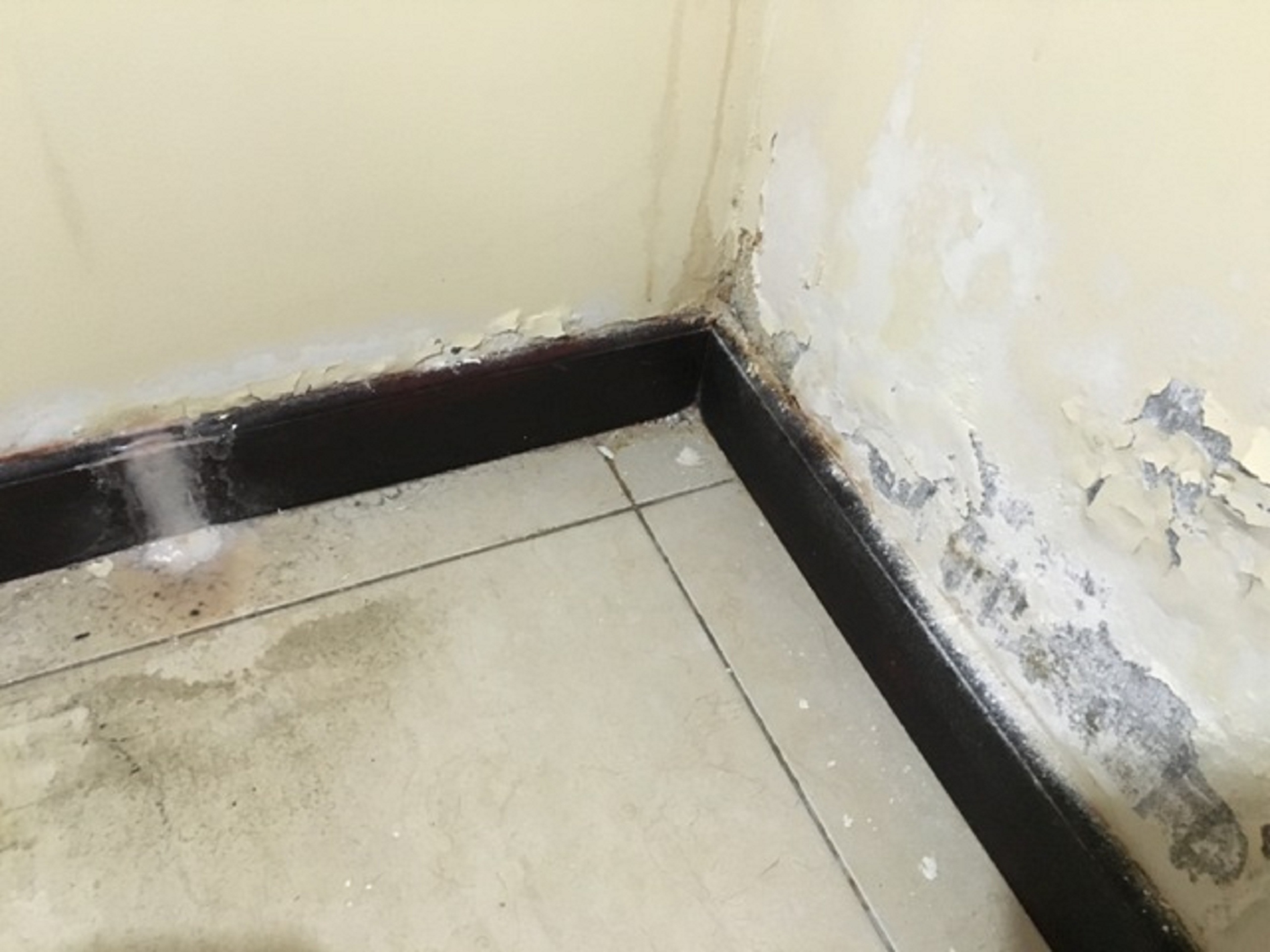 Signs of a Water Leak Behind the Walls