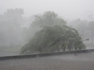 How-to-Prepare-for-Hurricane-Damage
