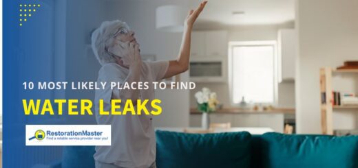 common places to find leaks