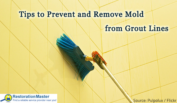 The best ways to remove mold from grout.