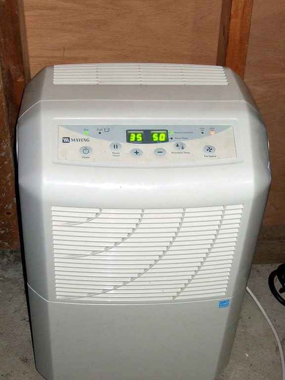 Can a Dehumidifier Kill Mold? RestorationMaster Finder