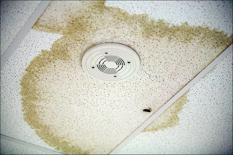 What Causes Water Stains on the Ceiling? | Ceiling Leaks Repair