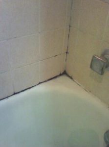 Prevent-Mold-in-Shower