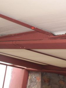 Repair-Roof-Leak-to-Prevent-Mold