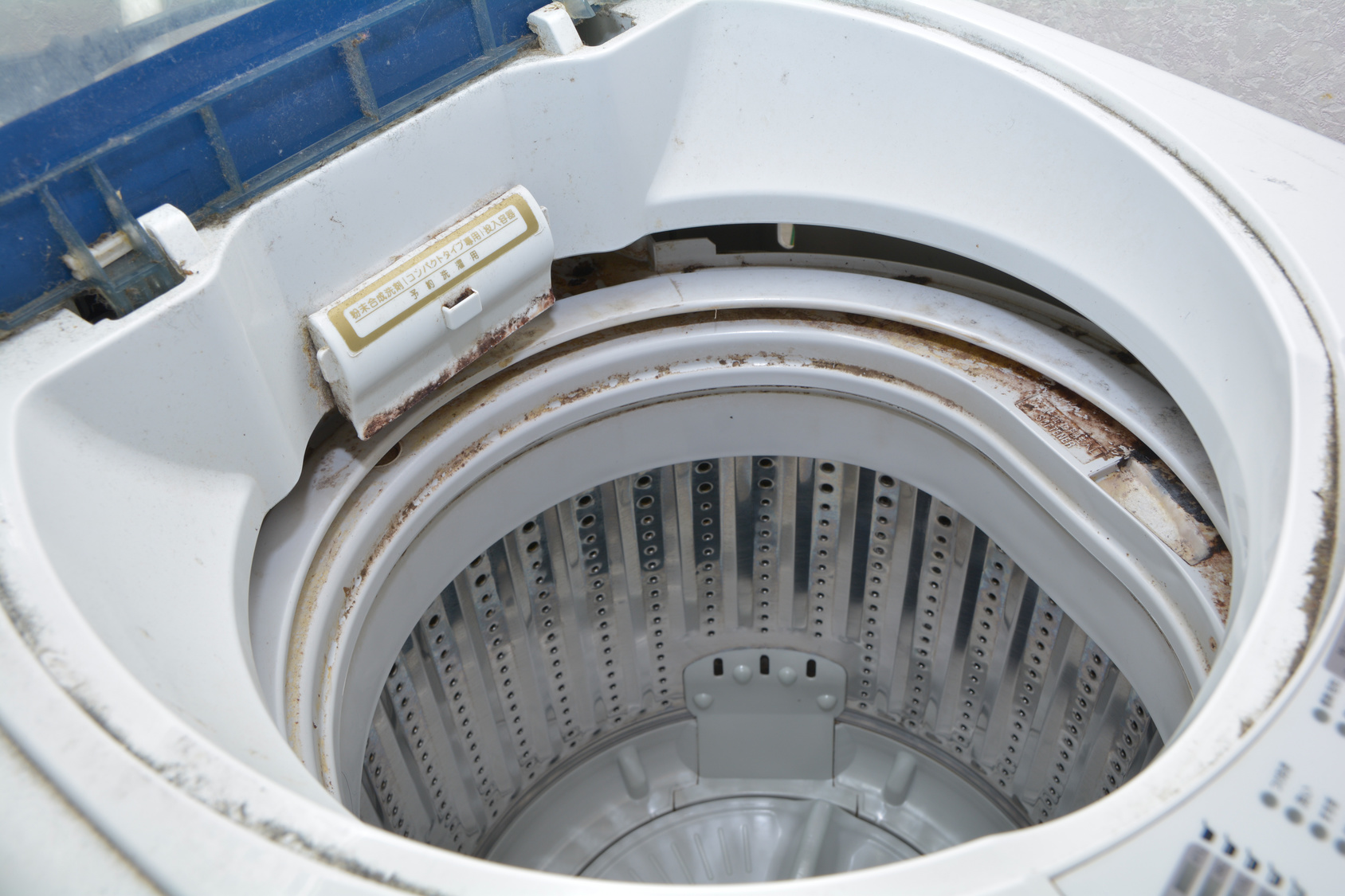 Tips for Removing Mold from a Washing Machine | ServiceMaster