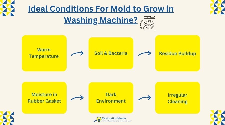 factors that cause mold growth in washing machine