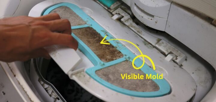 tips for removing mold from washing machine