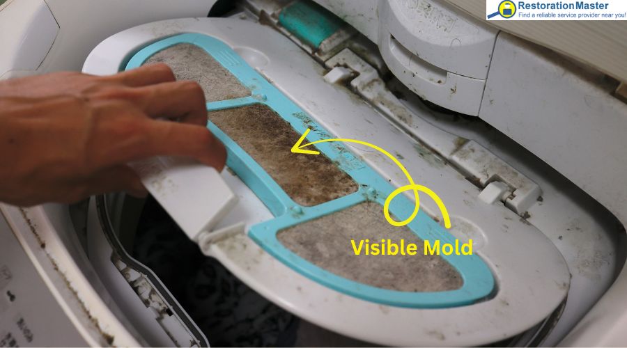 tips for removing mold from washing machine