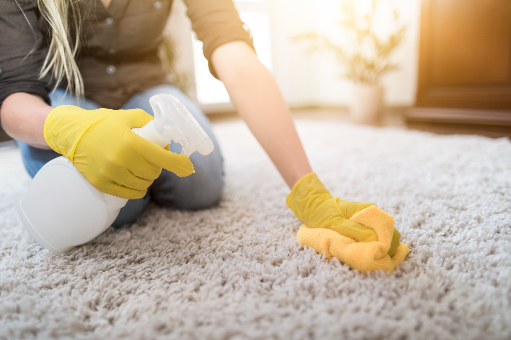 Cleaning Mildew from Your Carpet