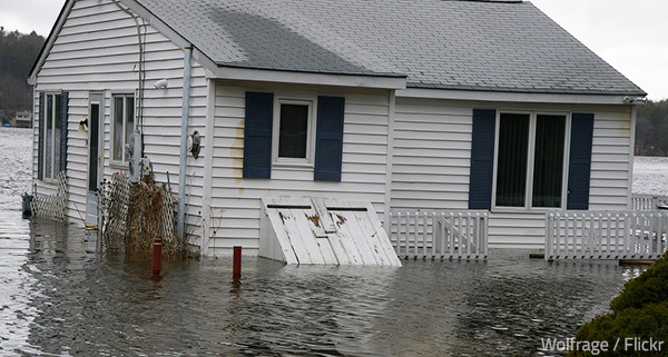 Professional Water Damage Cleanup