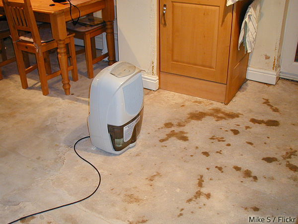 Proper drying is of uttermost importance for preventing mold growth.