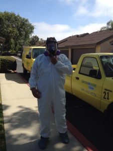 Protect Yourself from Mold with special clothes, mask, and gloves