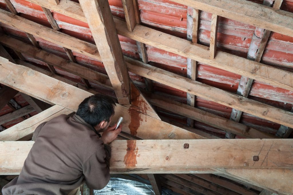 Inspecting-Roof-Leak-in-Attic