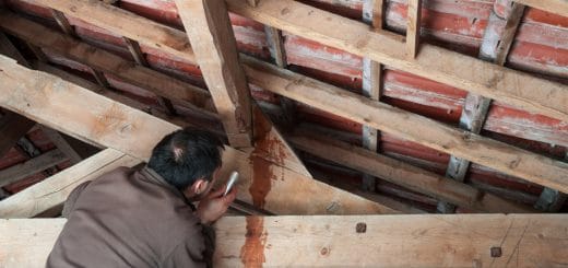 Inspecting-Roof-Leak-in-Attic