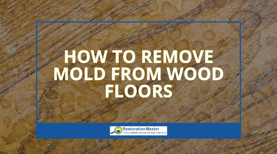 mold removal process from wood floors