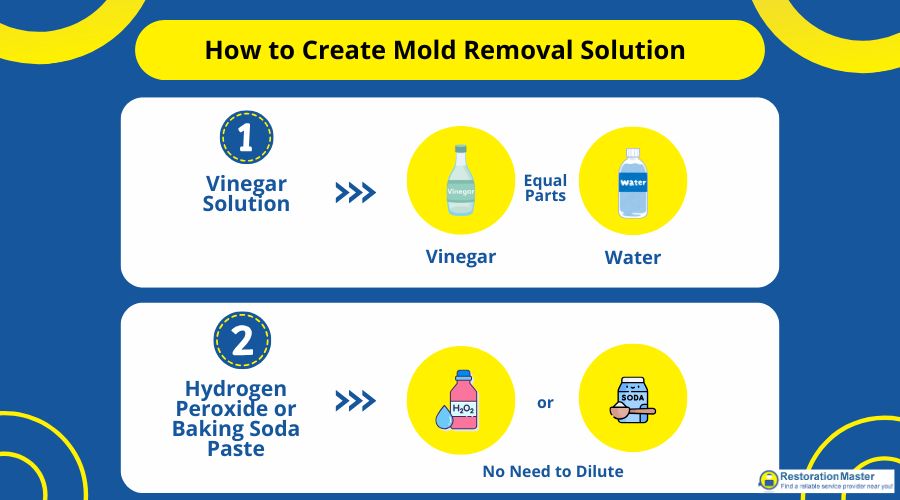 how to create diy mold removal solution